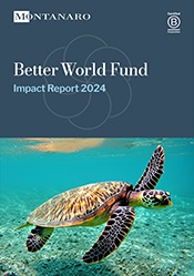 Cover of the 2024 Better World Fund Annual Impact Report.