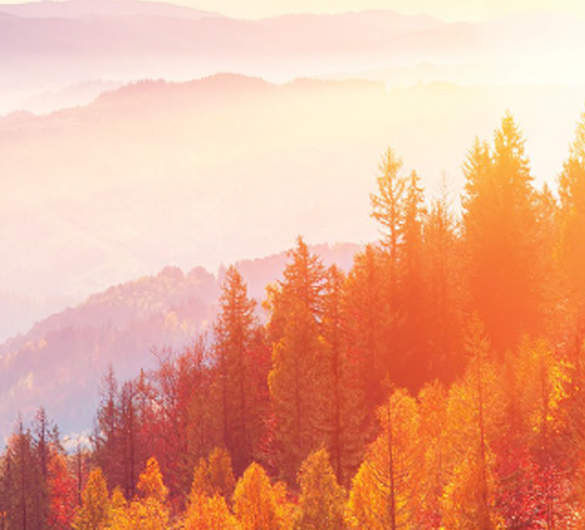 Cover artwork inviting investors to sign up for the annual impact report.